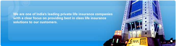 Jobs in Max Life Insurance