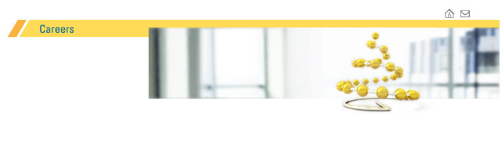 The image http://w10.naukri.com/gpw/snstech/images/careers.jpg cannot be displayed, because it contains errors.