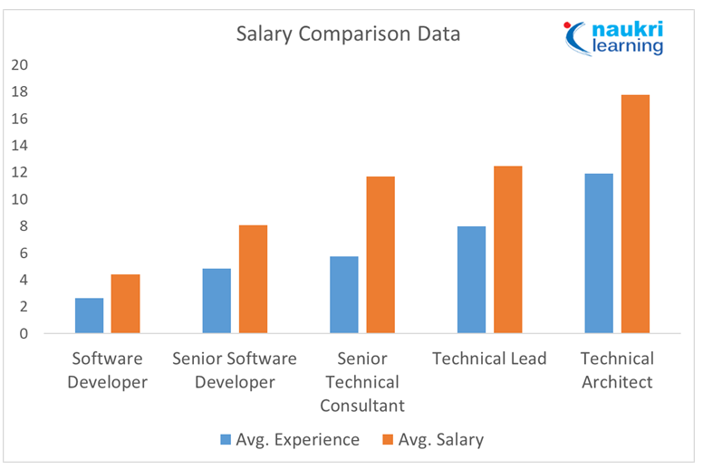 software-developer-career-options-career-planning-guidance-for