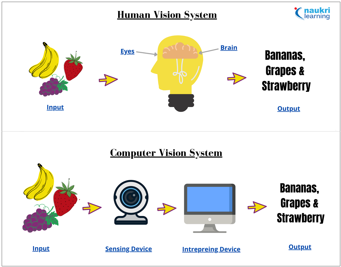 Computer Vision Vs Human Vision