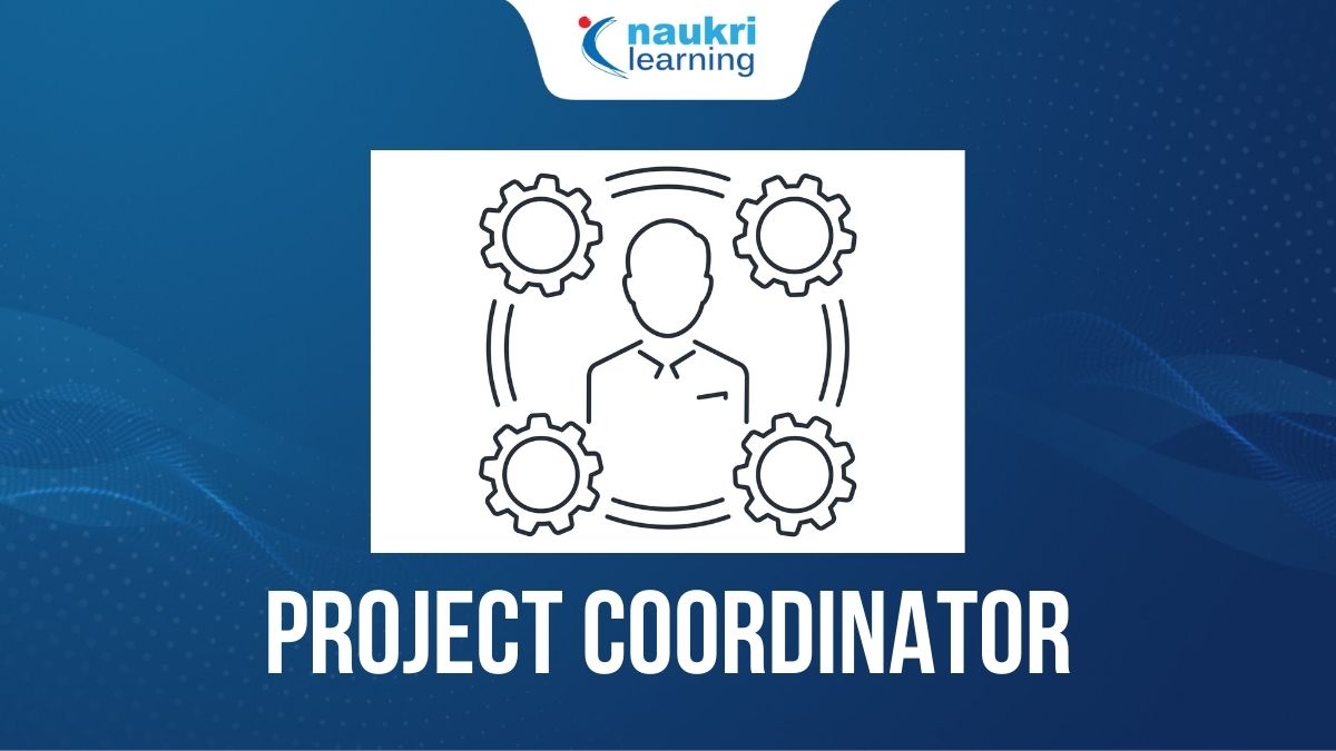 What Is A Project Coordinator