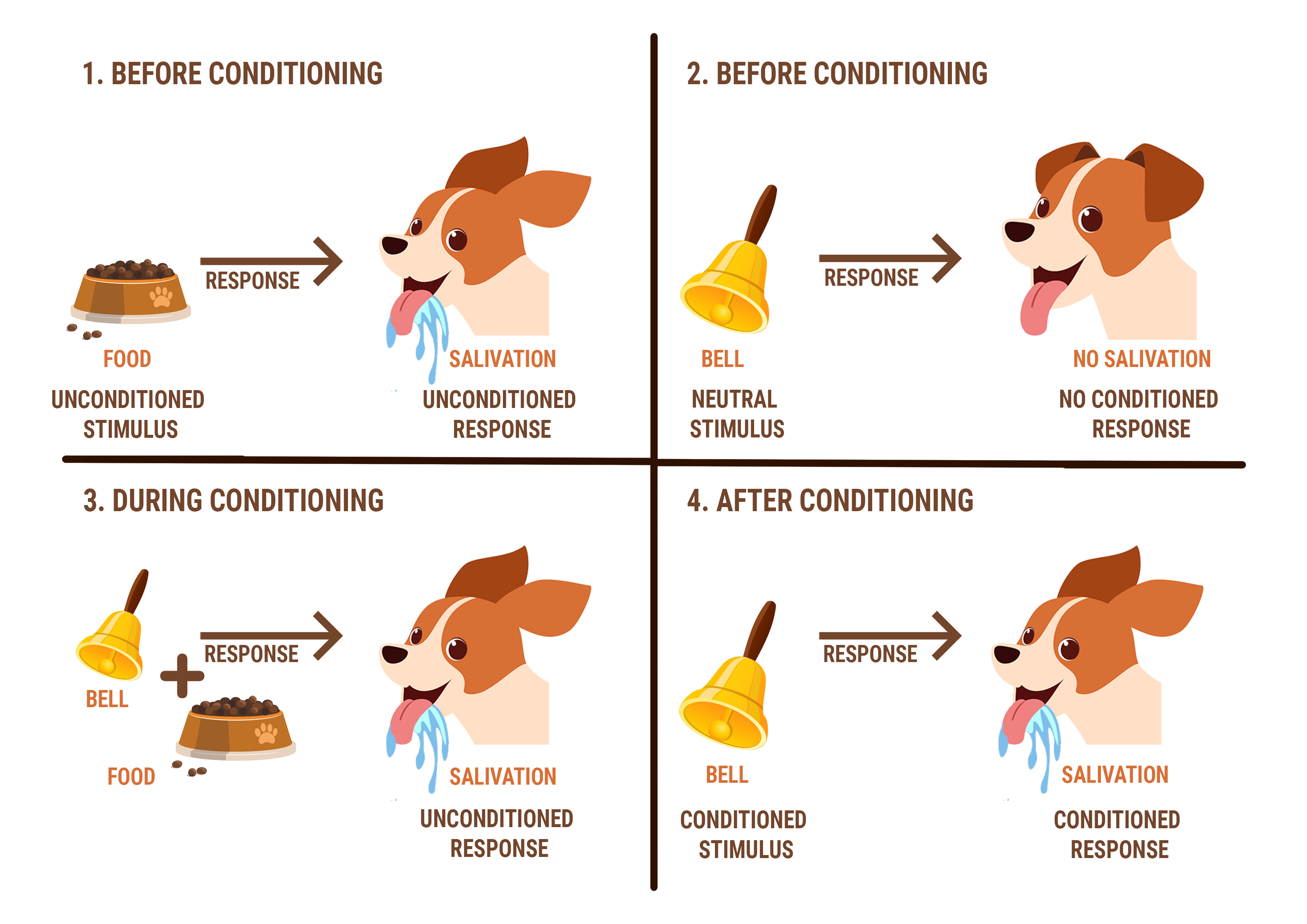 Learning by store analogy in ai